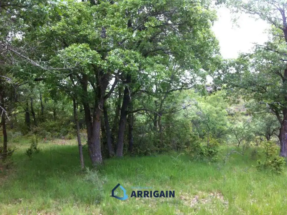 Casa o chalet en venta en La Moraleja con Jardín privado