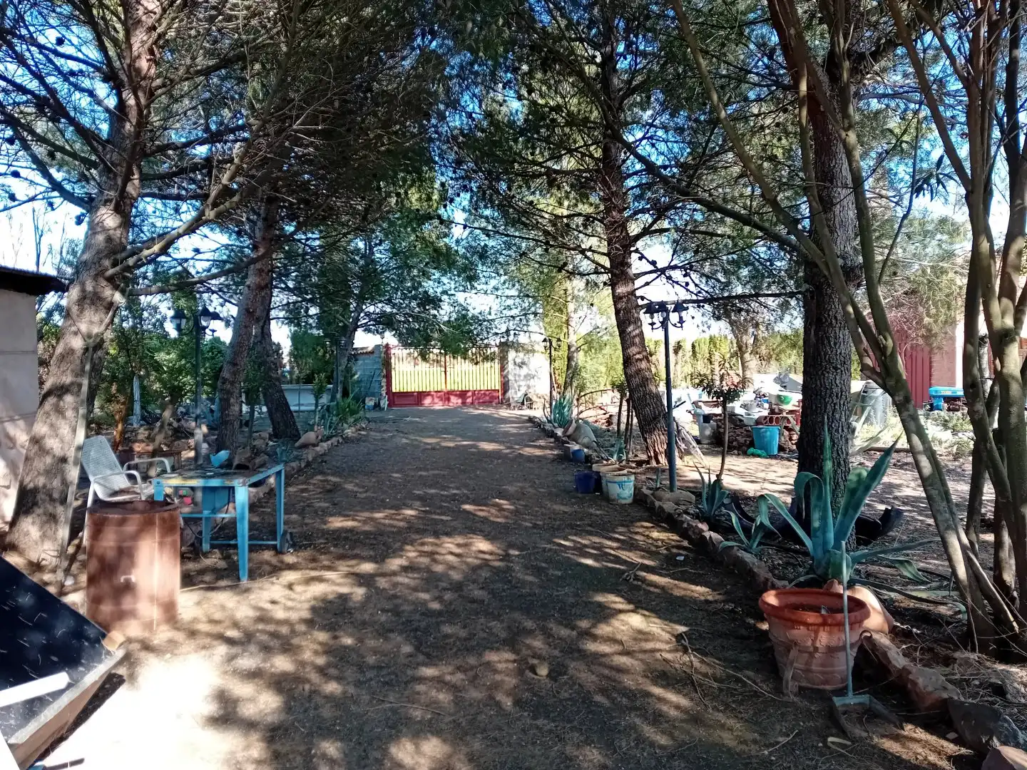 Jardín de Casa o chalet en venta en Bolaños de Calatrava con Terraza, Trastero y Amueblado