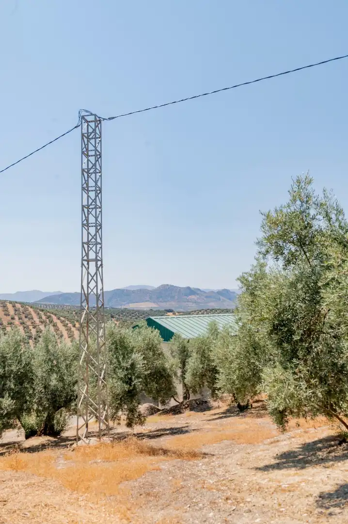Exterior view of Land for sale in Archidona
