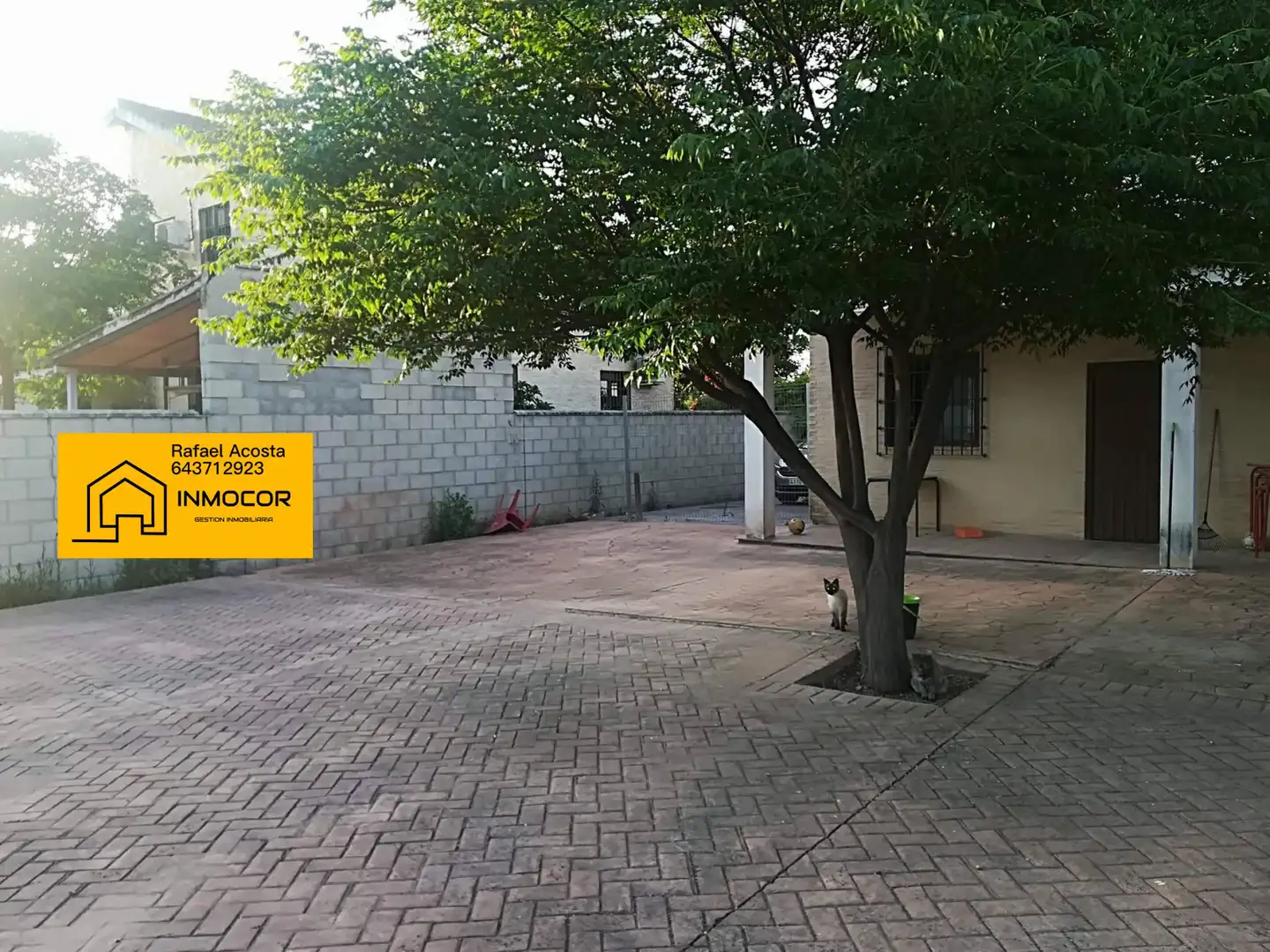 Exterior view of Houses for sale in Córdoba  with Furnished