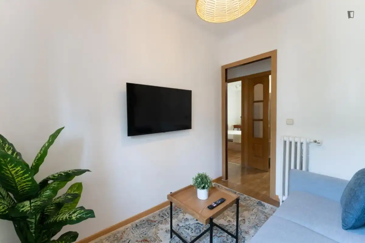 Sala d'estar de Apartament per a compartir en Madrid amb Calefacció, Moblat i Forn