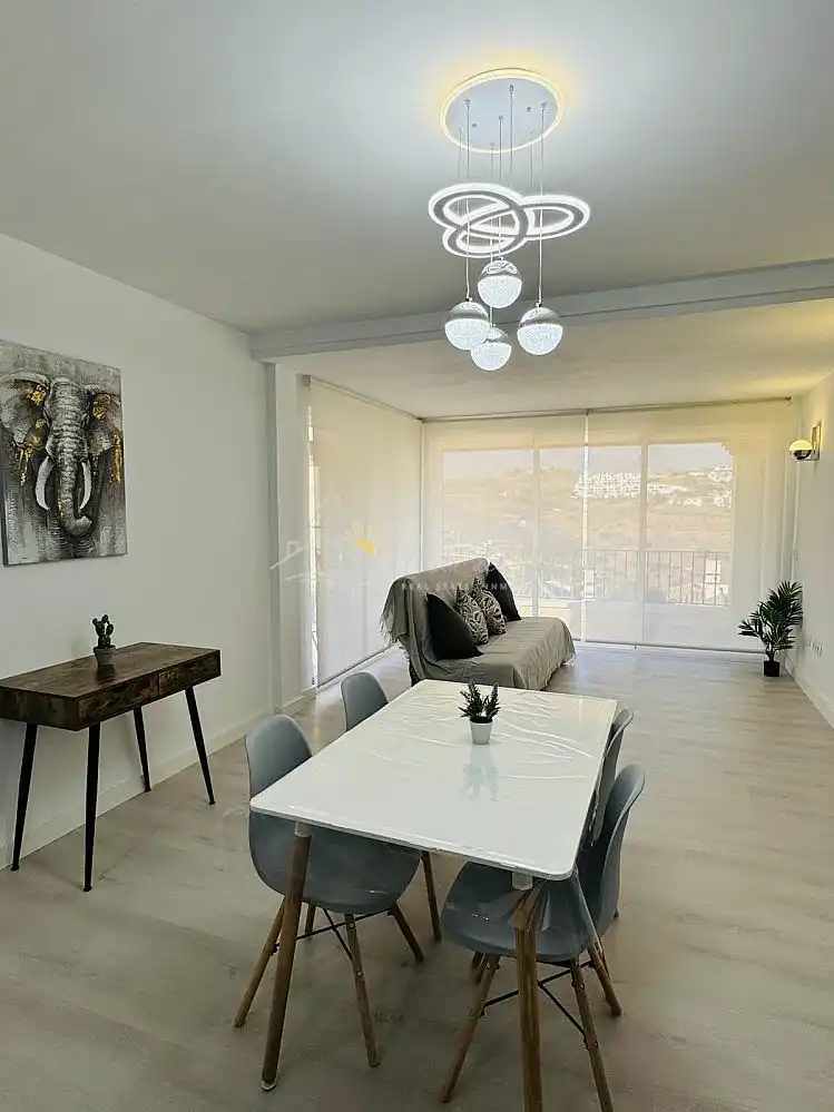 Apartments for rent in Centro