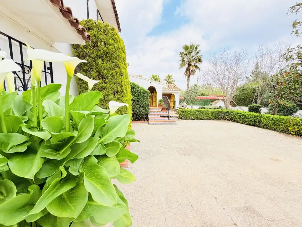 Jardín de Casa o chalet en venta en Valencia