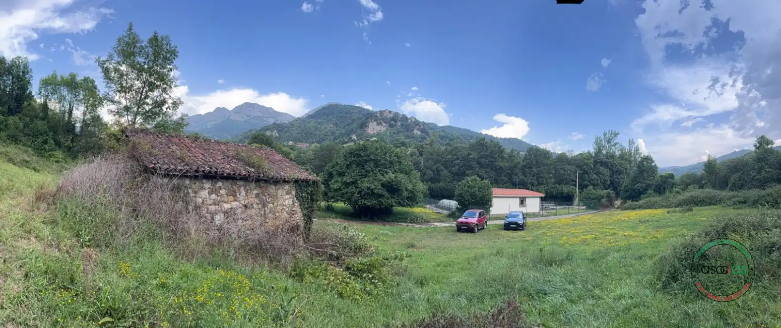 Land for sale in Quirós