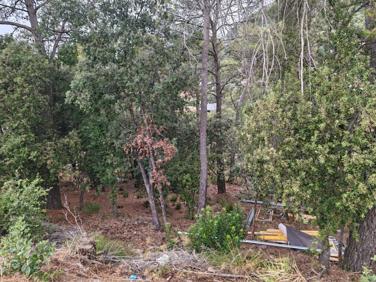 Land for sale in Matadepera