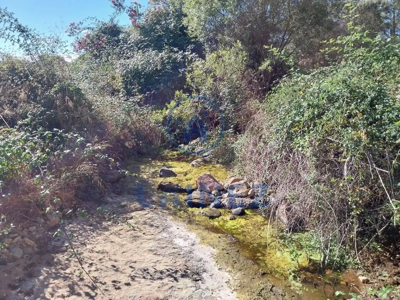 Lands and plots for sale in Fuente Obejuna, imagen 18