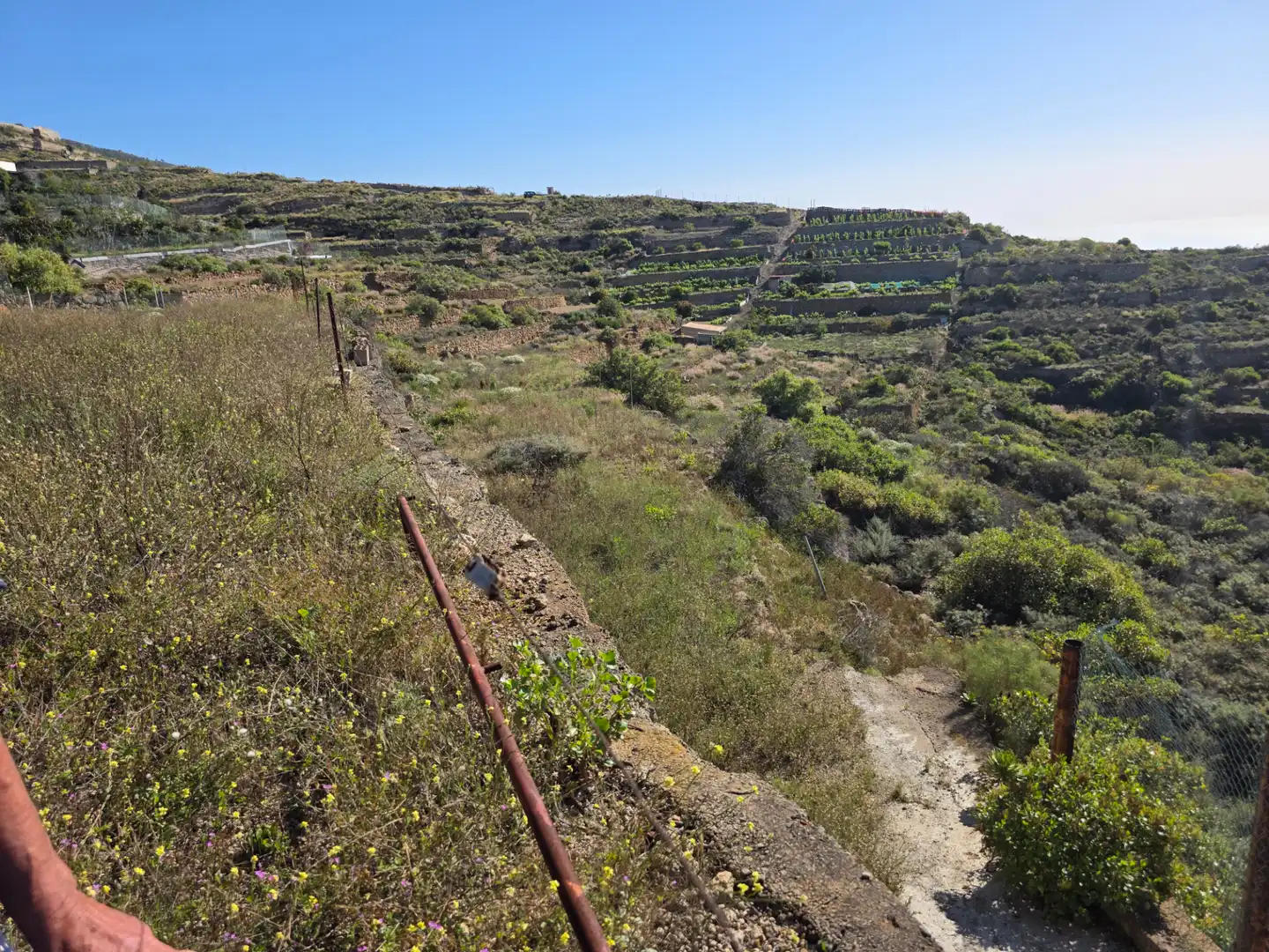 Grundstücke zum Verkauf in Güímar