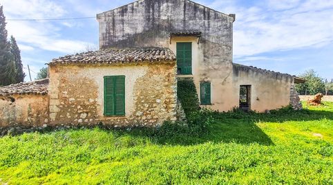 Foto 3 de Finca rústica en venta en Sineu, Illes Balears