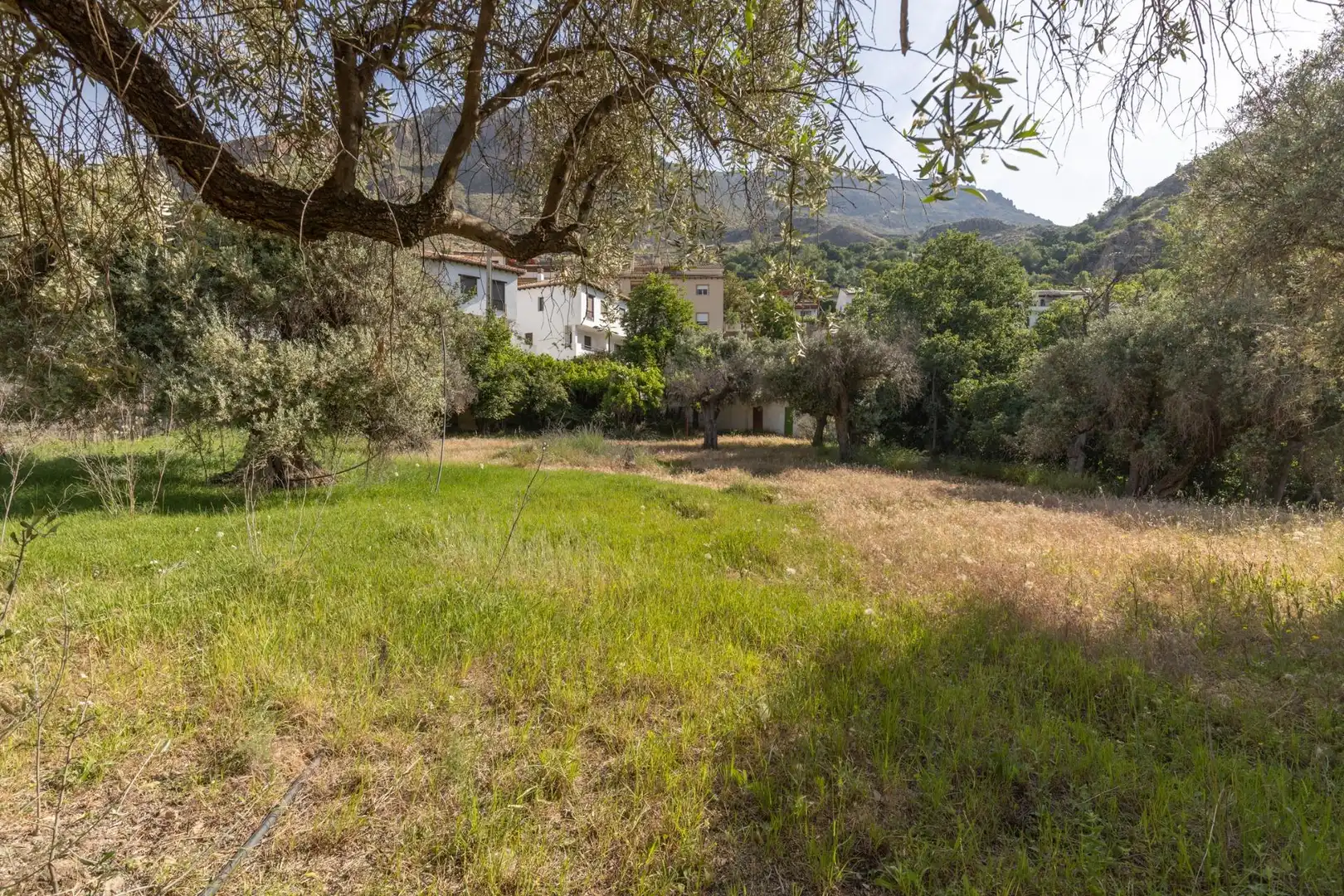Lands and plots for sale in Carretera de Maitena, imagen 20