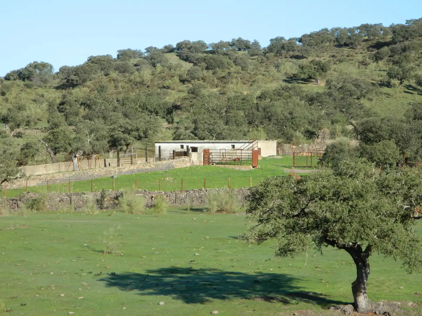 Rural land for sale in La Hispanidad - Verdeluz, imagen 34