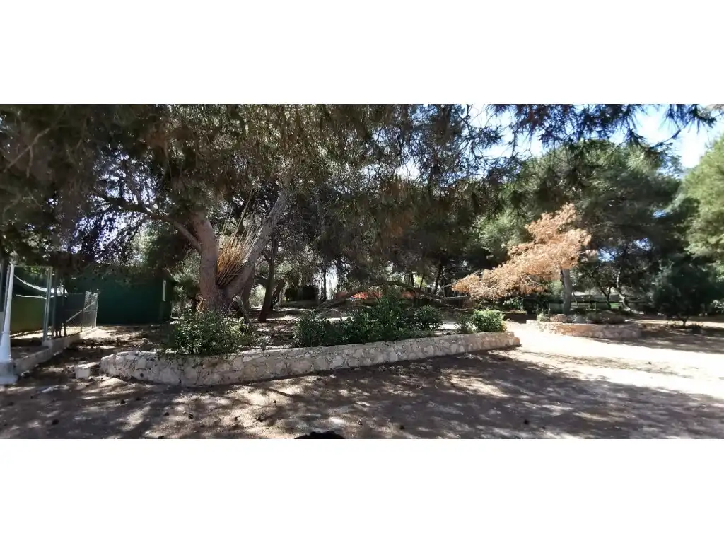Jardí de Casa o xalet en venda en Elche / Elx amb Jardí privat, Terrassa i Piscina