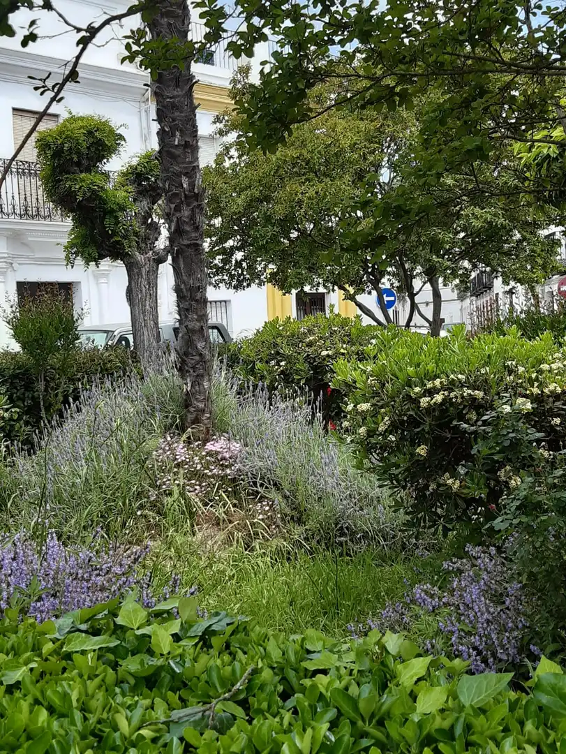 Garden of Buildings for sale in Constantina