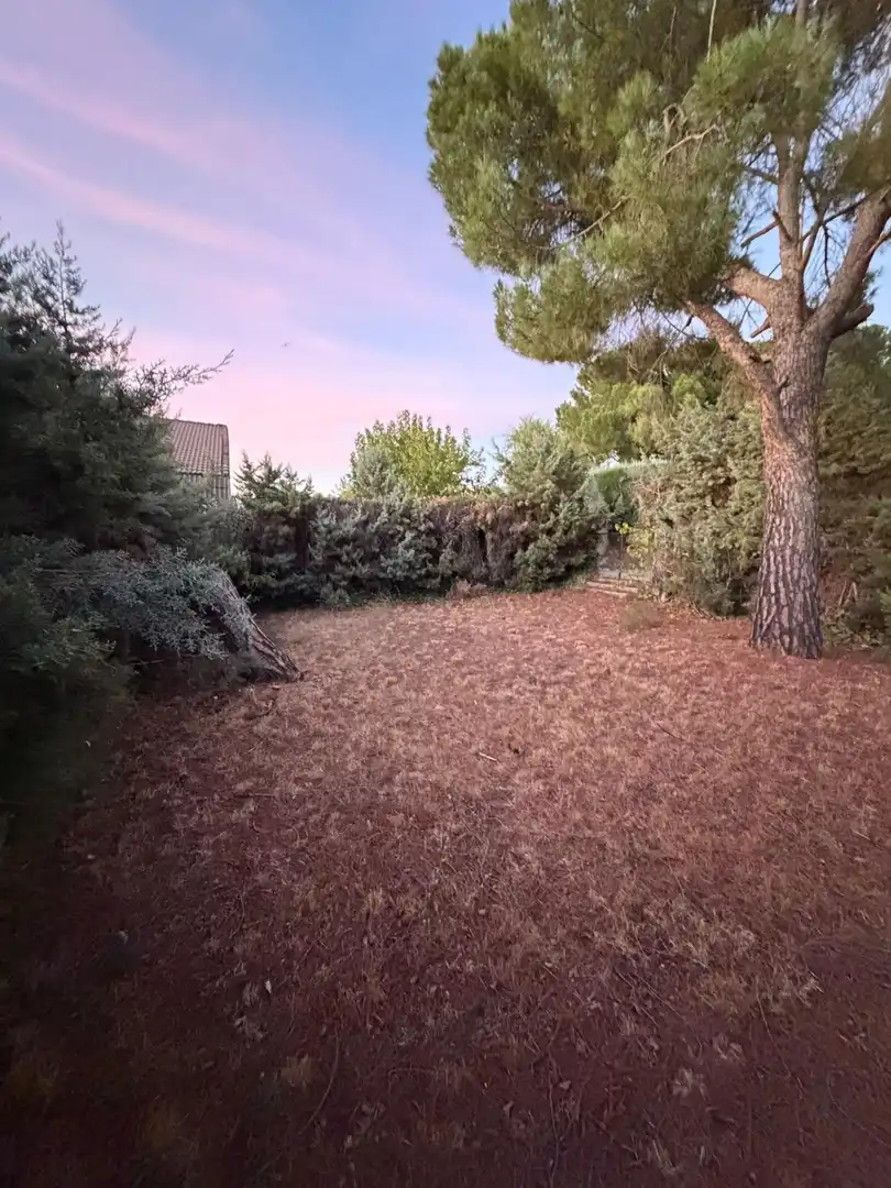 Detached house with pool for sale in Parque Coimbra, imagen 10