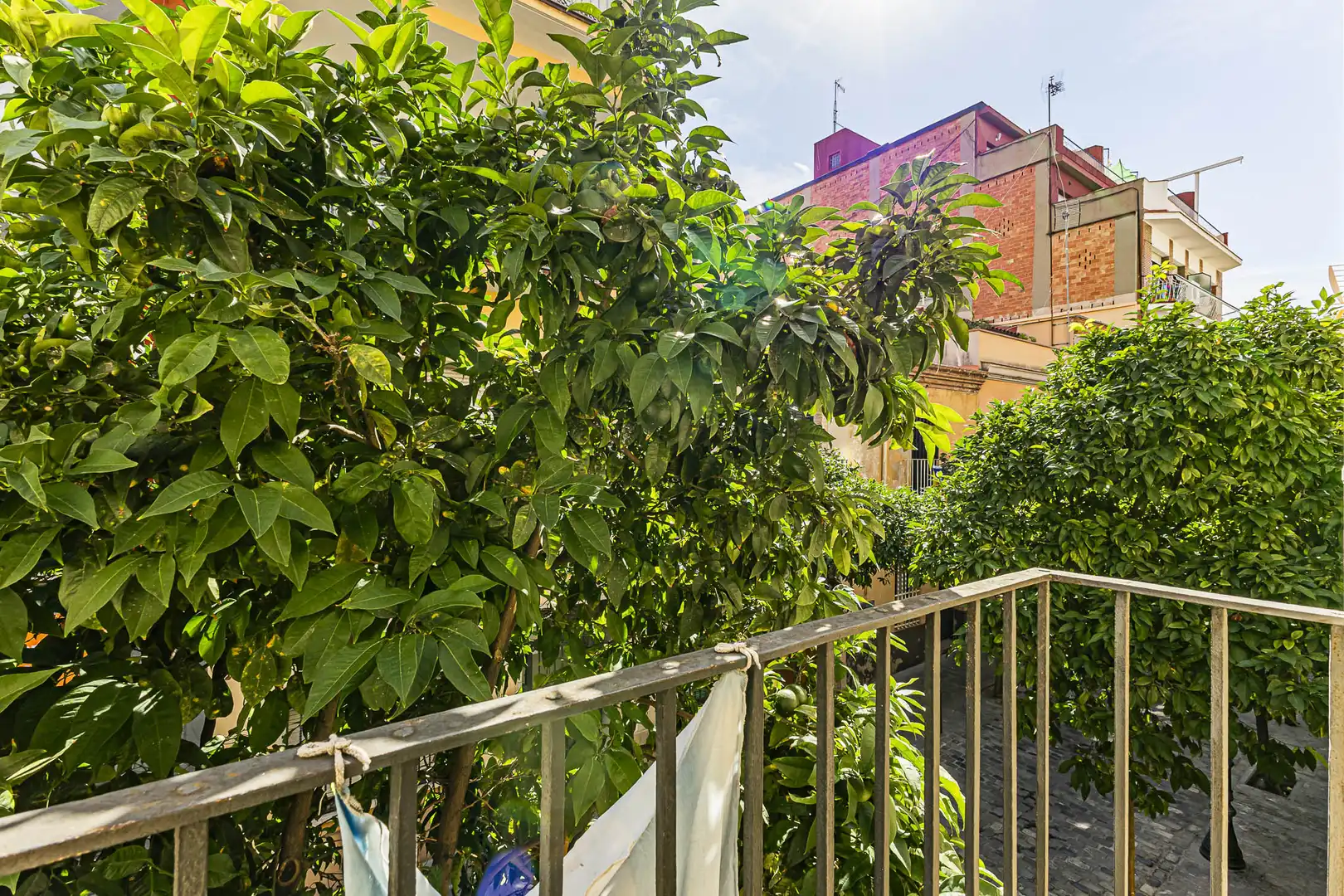 Terraza de Casa adosada en venta en Sant Andreu