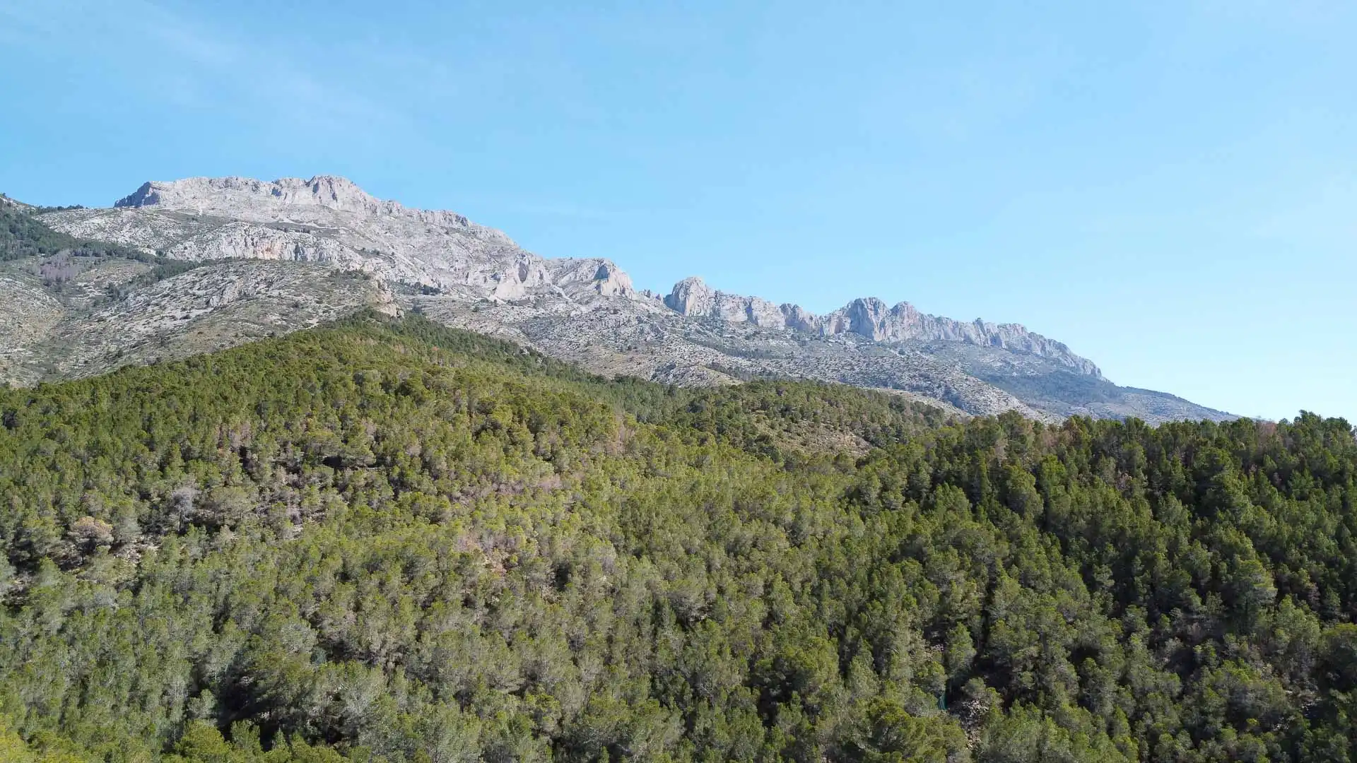 Exterior view of Houses for sale in Altea  with Private garden, Terrace and Balcony