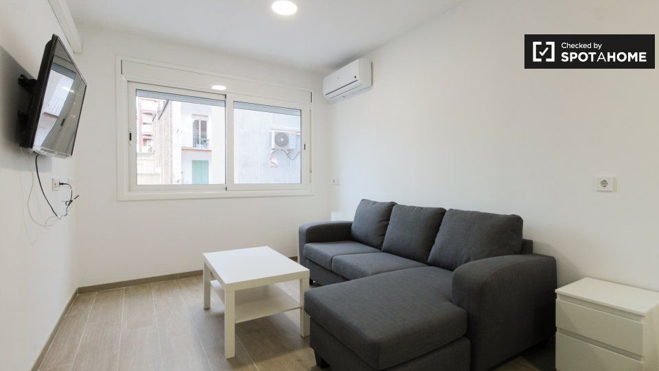 Pis de lloguer a Hostafrancs