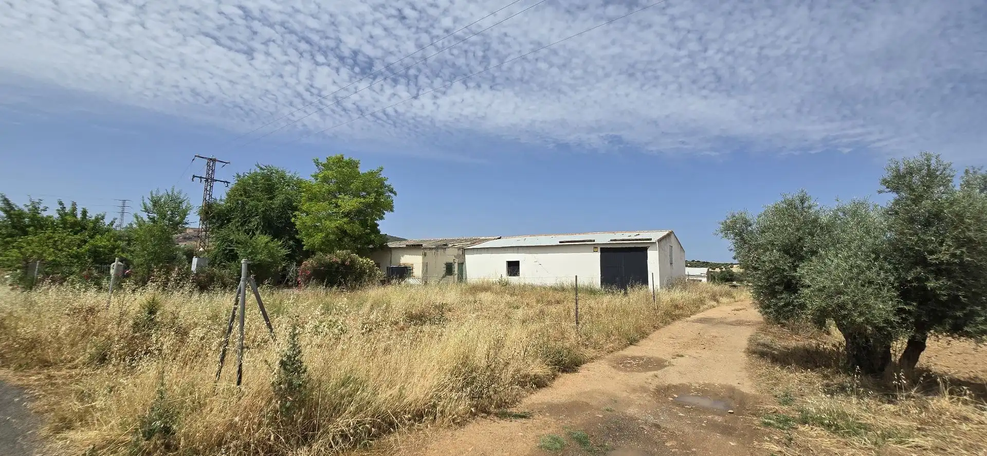 Terreno rustico in vendita a Argamasilla de Calatrava, imagen 4