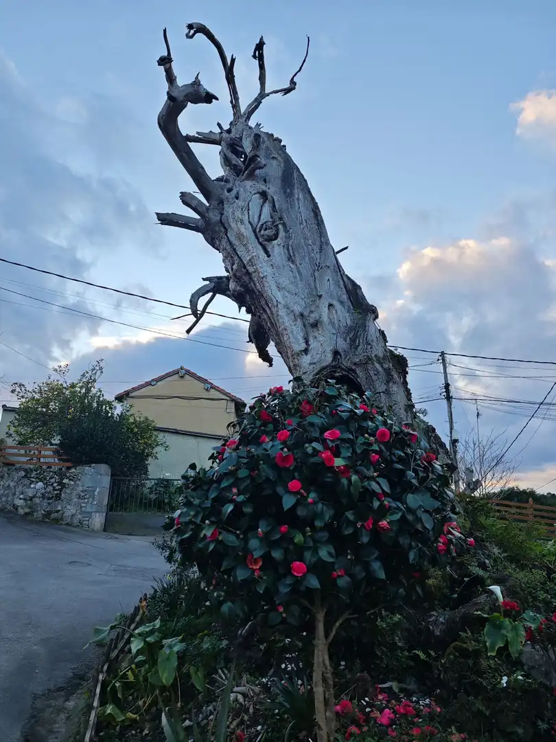 Exterior view of Residential for sale in Llanes