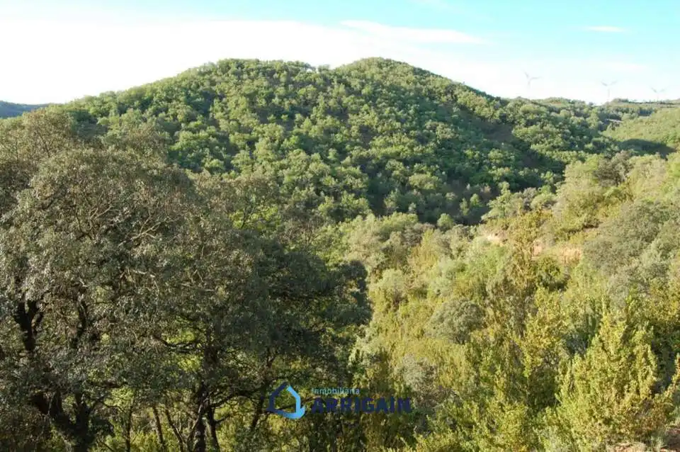 Casa o chalet en venta en La Moraleja con Jardín privado