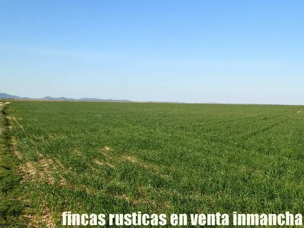 Terreni e lotti in vendita a Madridejos, imagen 5