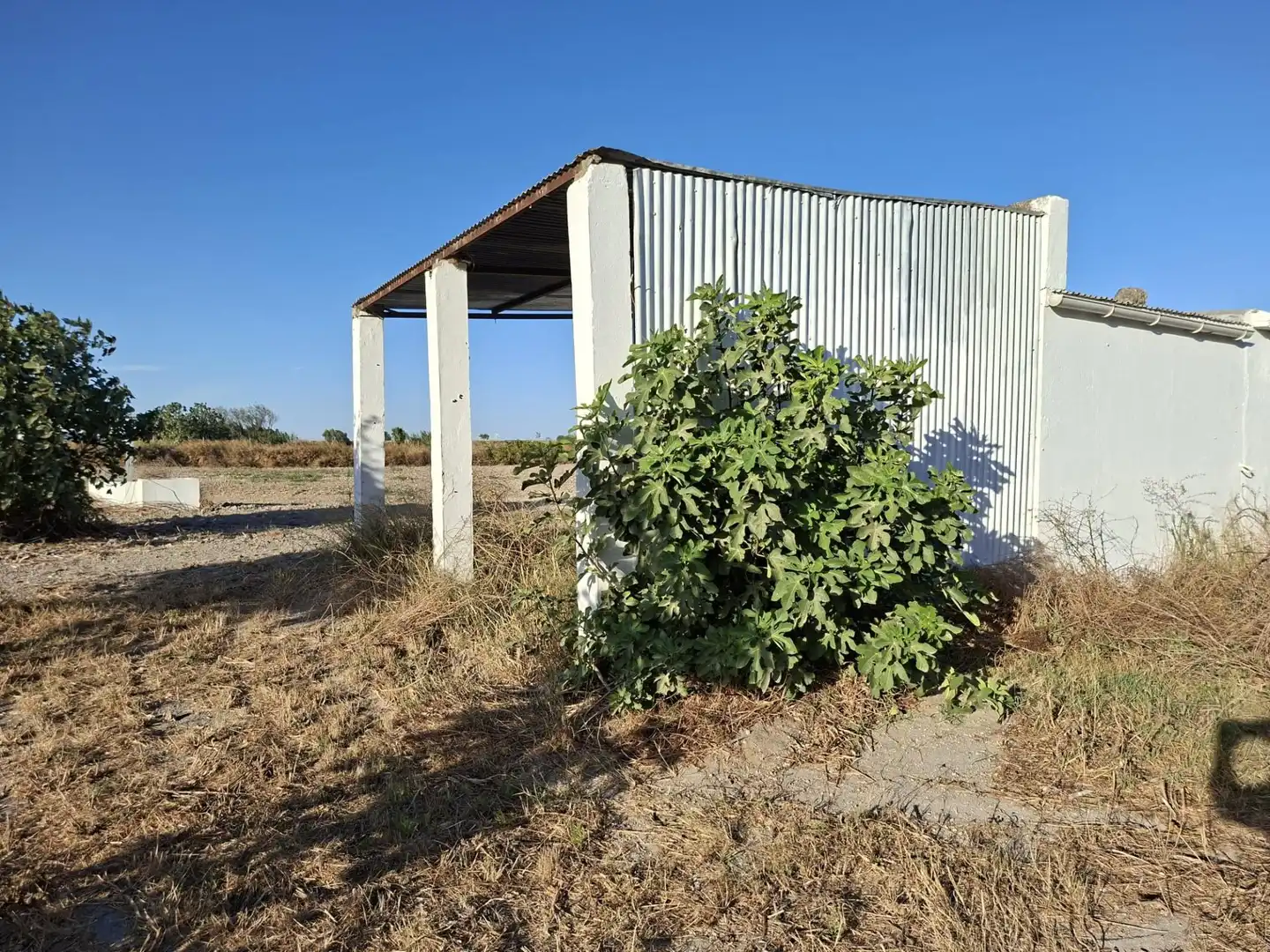 Vista exterior de Finca rústica en venda en Chiclana de la Frontera