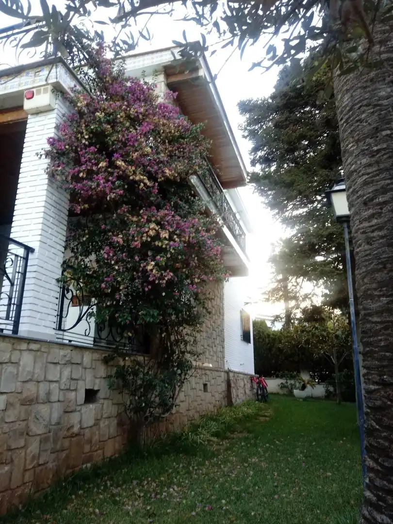 Jardín de Casa o chalet en venta en Torrent con Aire acondicionado, Jardín privado y Terraza