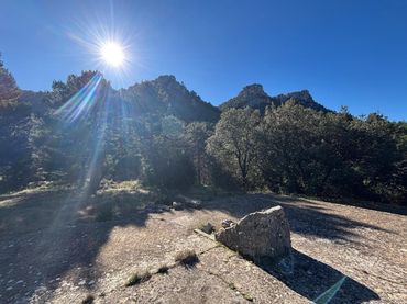 Rural land for sale in Alfara de Carles