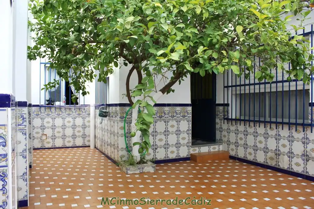 Haus mit Terrasse zum Verkauf in El Bosque, imagen 2