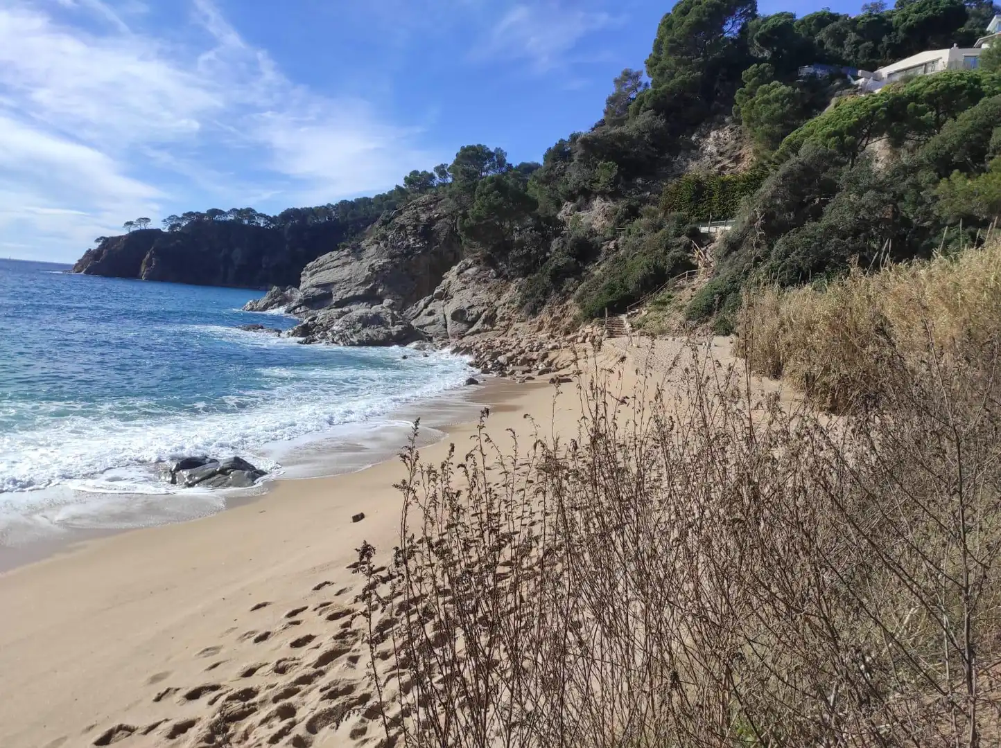 Vista exterior de Apartament en venda en Tossa de Mar amb Jardí privat i Terrassa