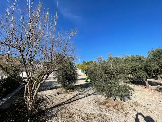 Casa o xalet en venda en Alicante / Alacant amb Aire condicionat, Calefacció i Jardí privat