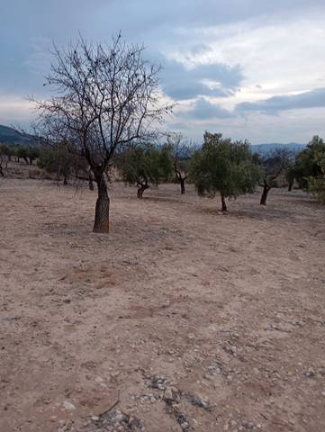 Terreno en Venta en Las Tiesas