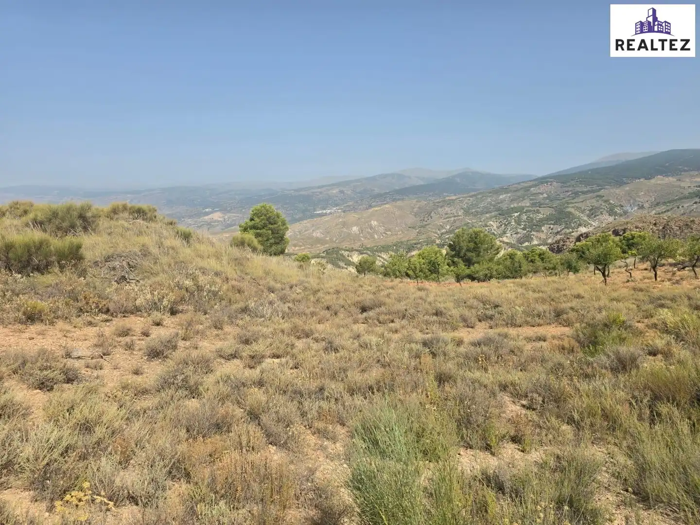 Terrain rustique à vendre à Alcolea, imagen 10