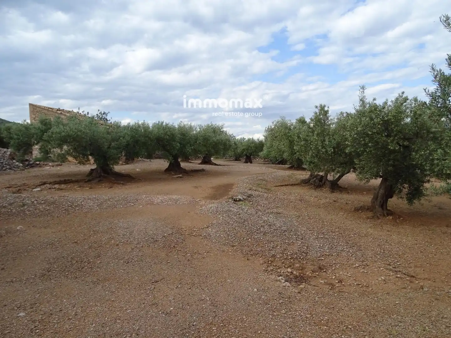 Terrain résidentiel à vendre à 14, imagen 4