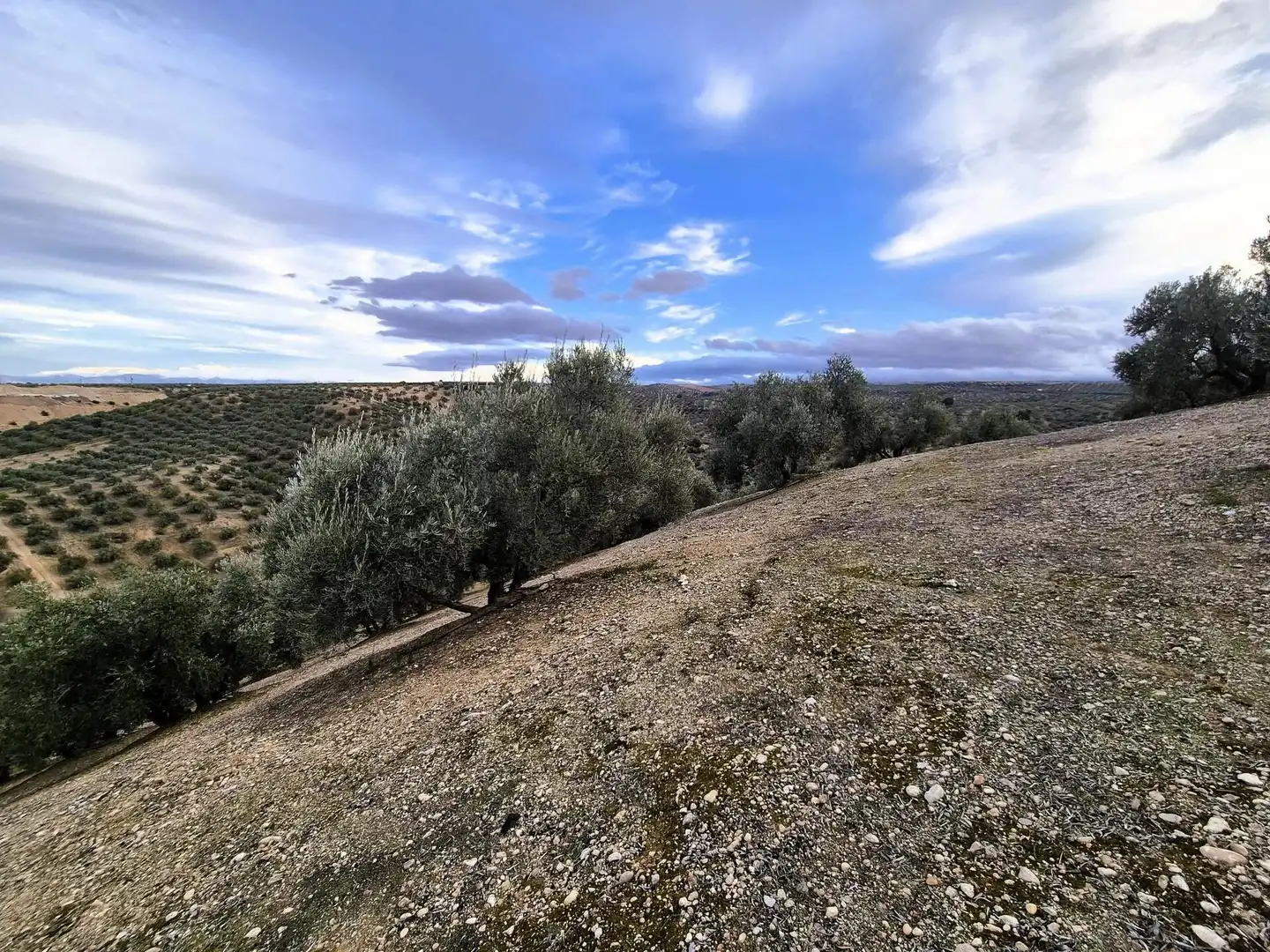 Rural land for sale in Huétor Tájar, imagen 11