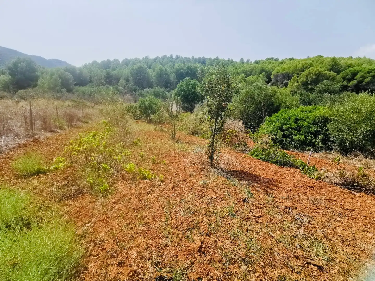 Villa avec jardin à vendre à Xaló, imagen 7