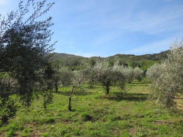 Terreno en venta en Cenes de la Vega
