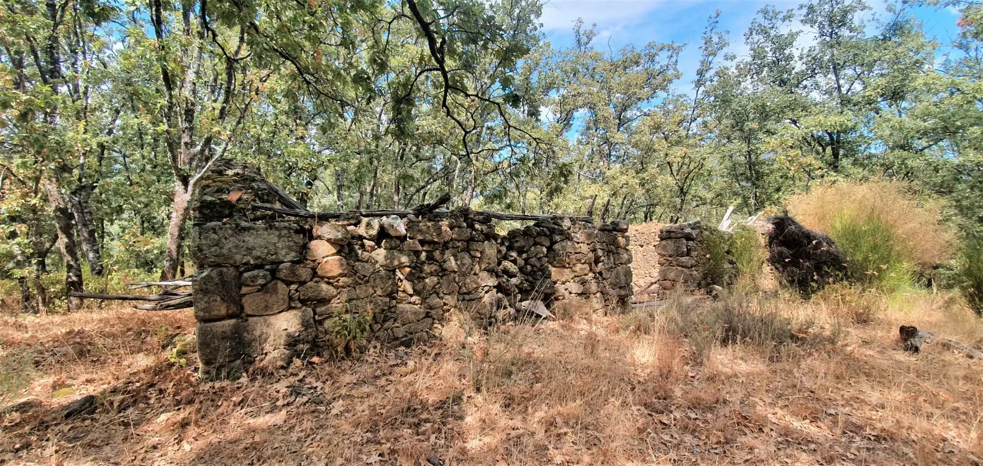 Terreni e lotti in vendita a Jarandilla de la Vera, imagen 19