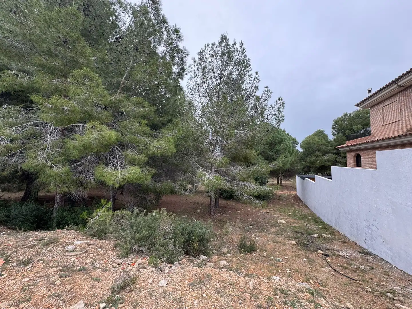 Terrenys i solars en venda a Ciutat Jardí Bonanova, imagen 5