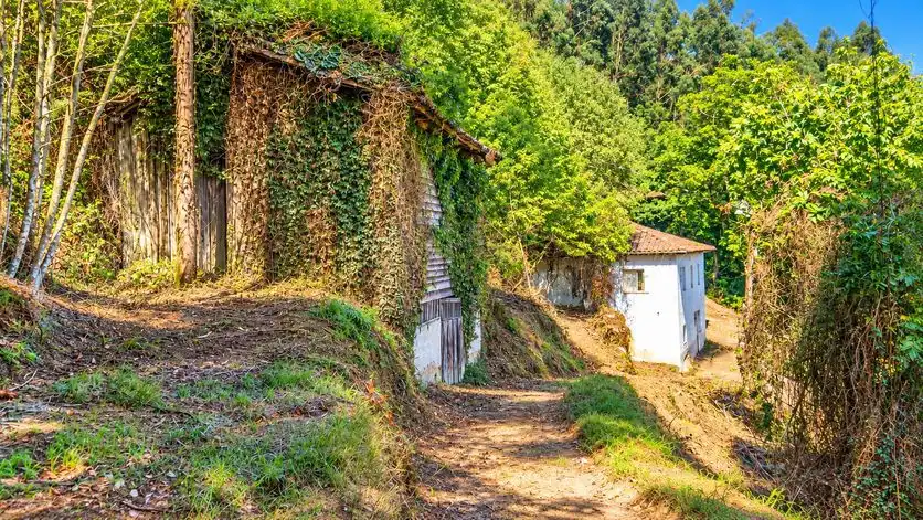 Casa en venta en Pravia, imagen 2
