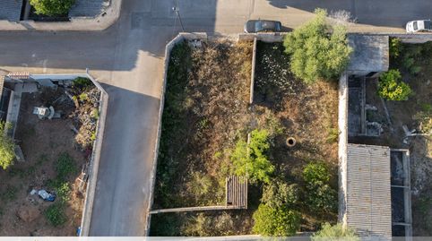 Un lugar especial para un estilo de vida especial proyecto de villas autorizado en Ariany. Ref. 9821, imatge 2