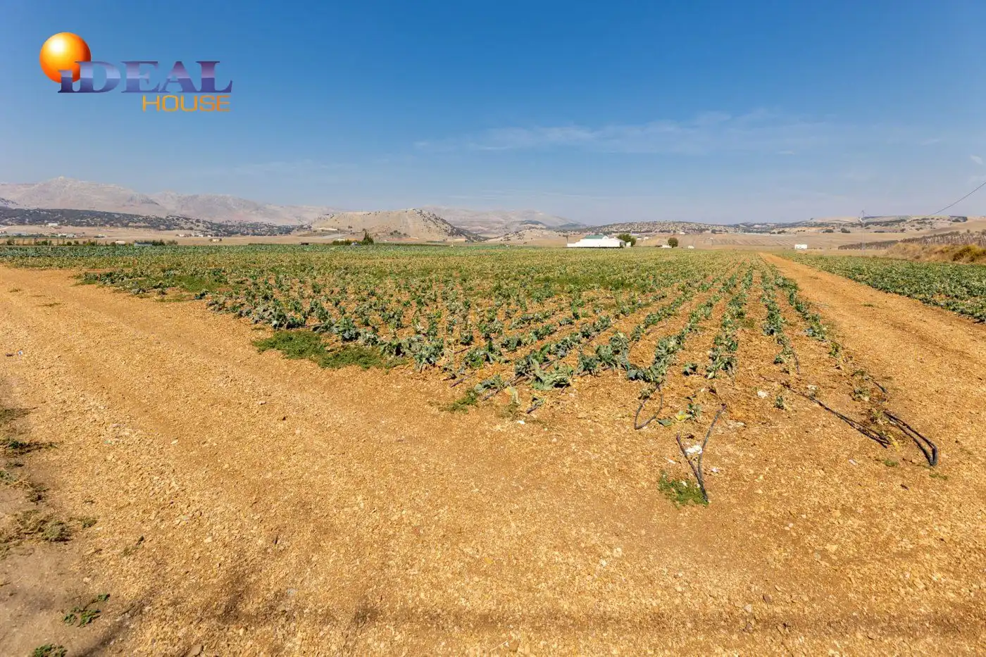 Finca rústica en venta en Alhama de Granada con Aire acondicionado, Jardín privado y Terraza