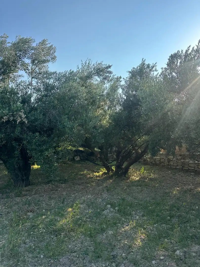 Finca rústica en venta en Olula del Río