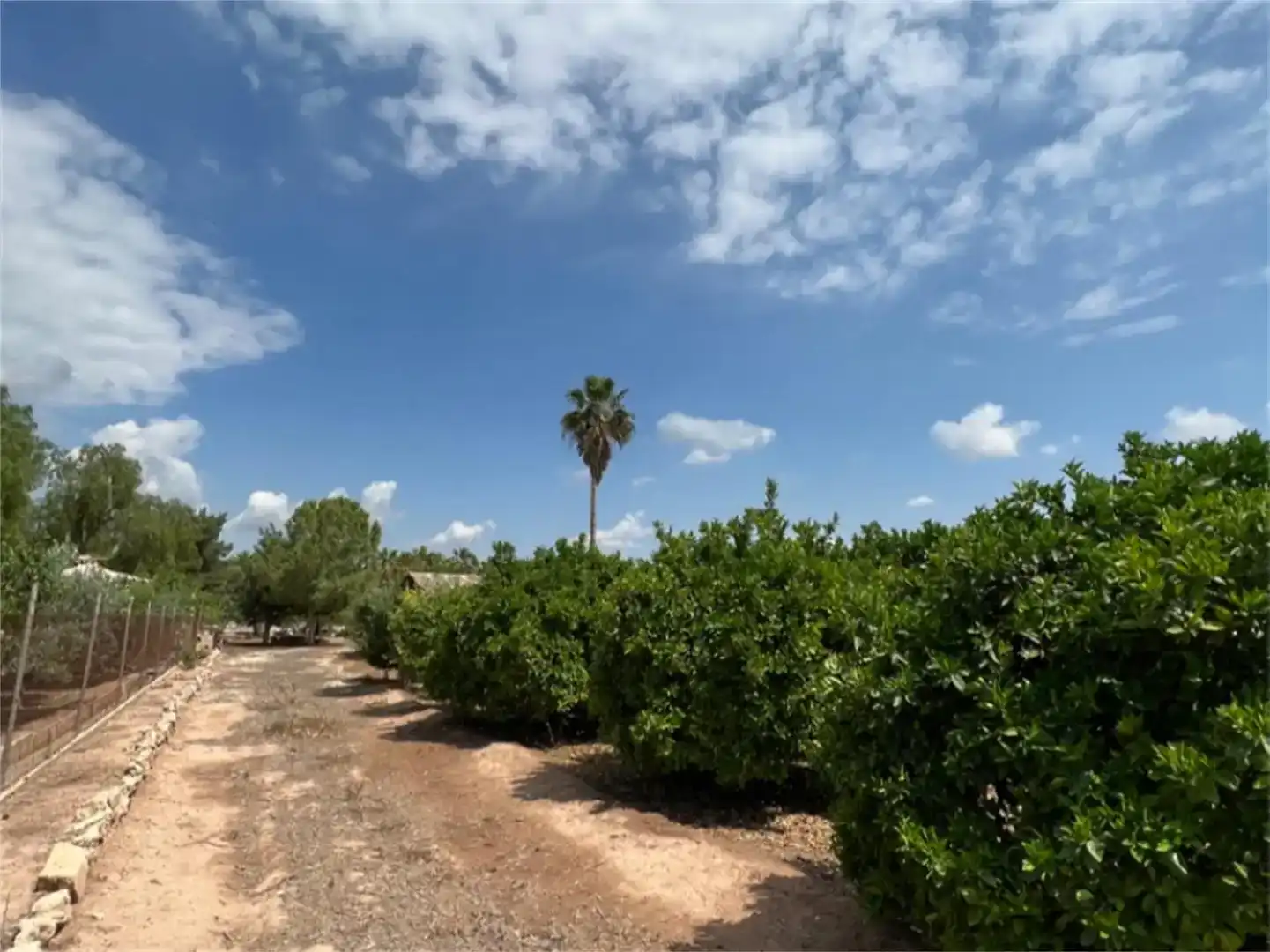 Terreno en venta en Alhama de Murcia ciudad