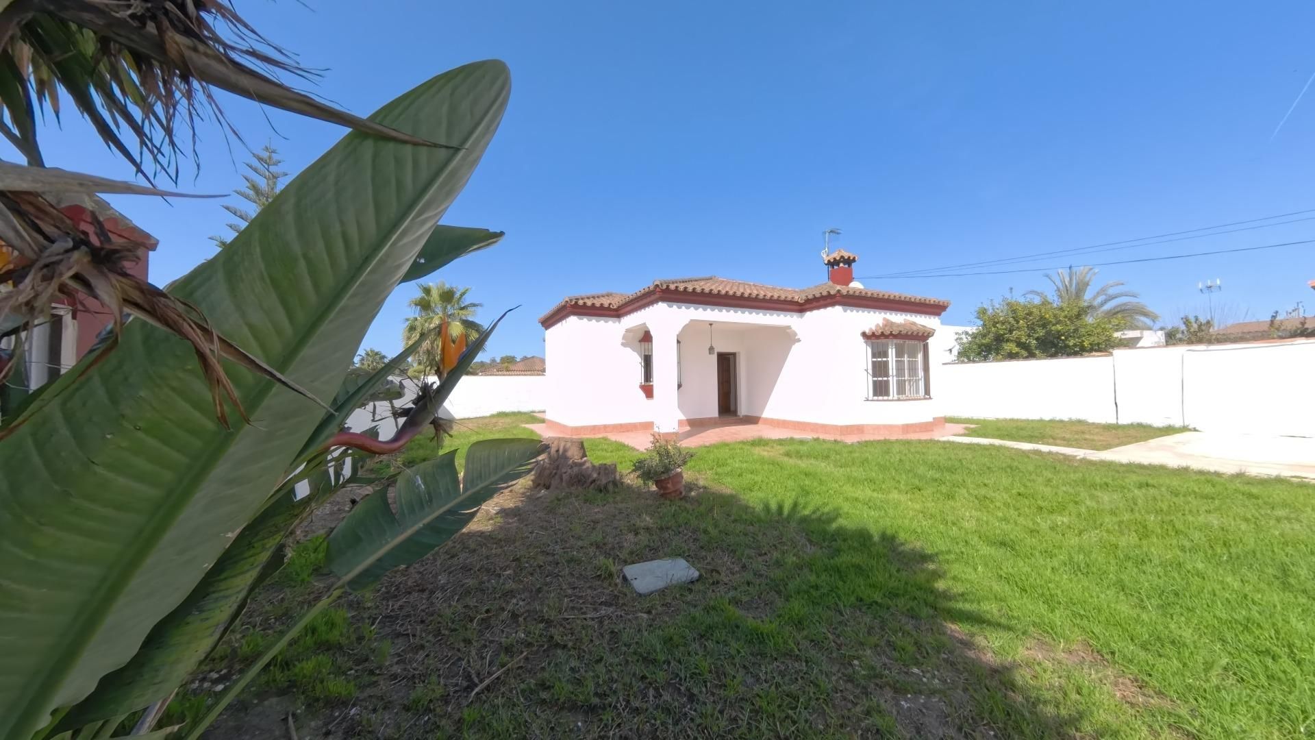 Jardín de Casa o chalet en venta en Chiclana de la Frontera con Jardín privado