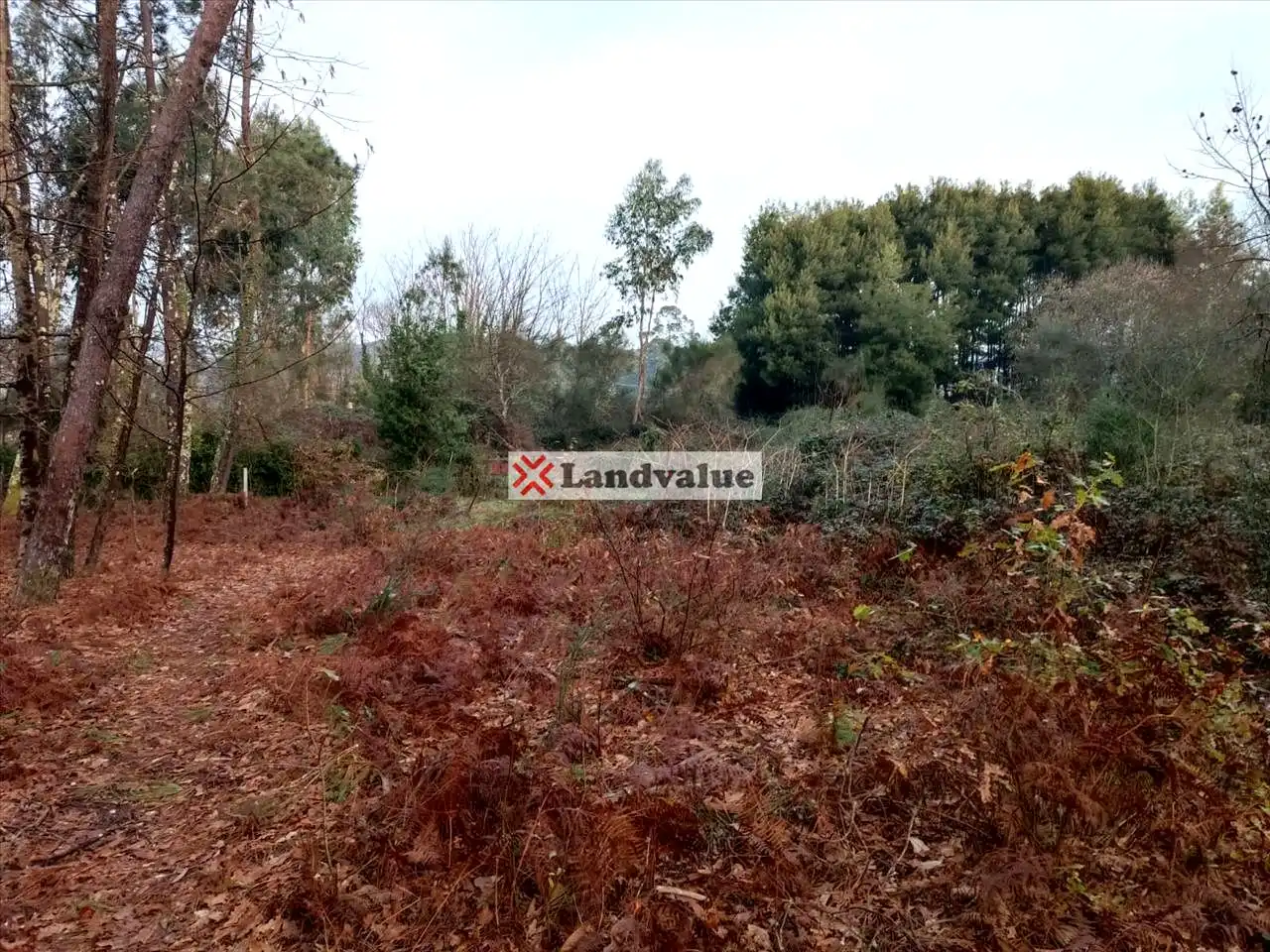 Rural land for sale in Polígono 166, Parcela 65, imagen 10