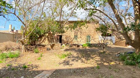 Foto 5 de Finca rústica en venta en Es Vivero, Palma de Mallorca