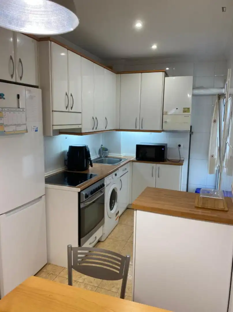 Kitchen of Apartments for share in Bilbao   with Furnished, Oven and Washing machine