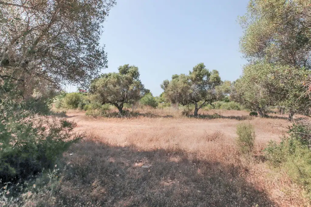Rural land for sale in C/ Roquetes, imagen 14