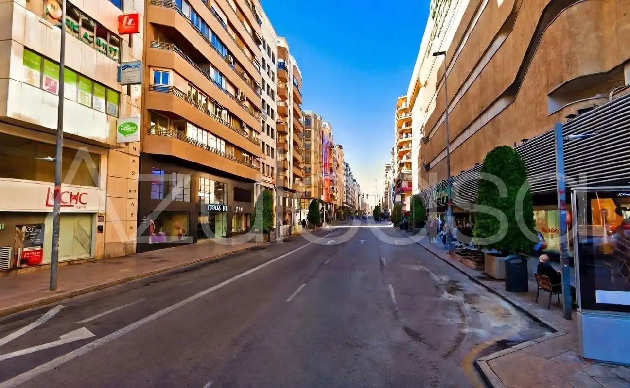 Flat with lift for sale in Avenida Avenida Maisonnave, imagen 33
