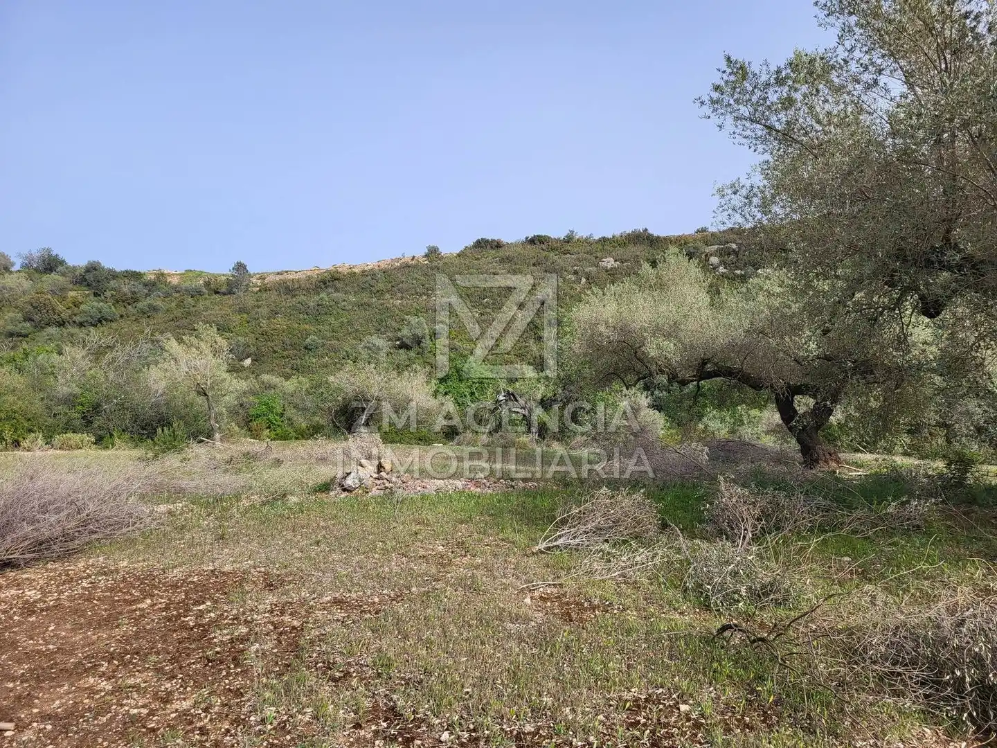 Terreno rustico in vendita a Corral de la Culla, imagen 15